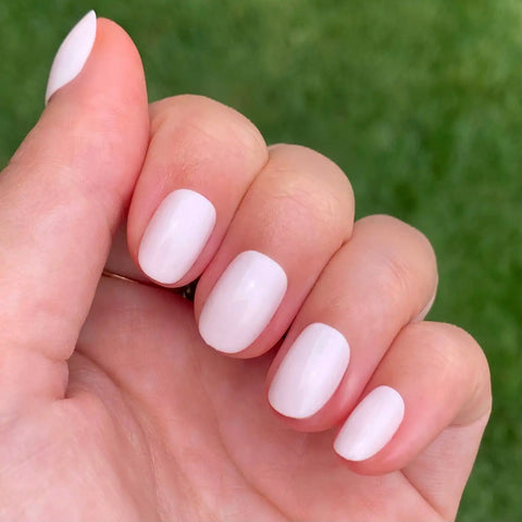 Timeless Neutrals Set