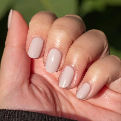 Timeless Neutrals Set