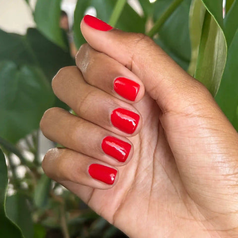 CV - Gel