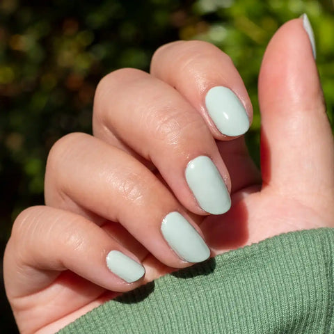 Timeless Neutrals Set