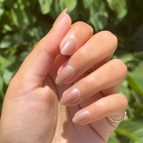 Coconut Shimmer Gloss