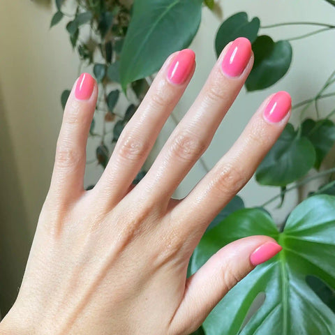 Guava Gloss