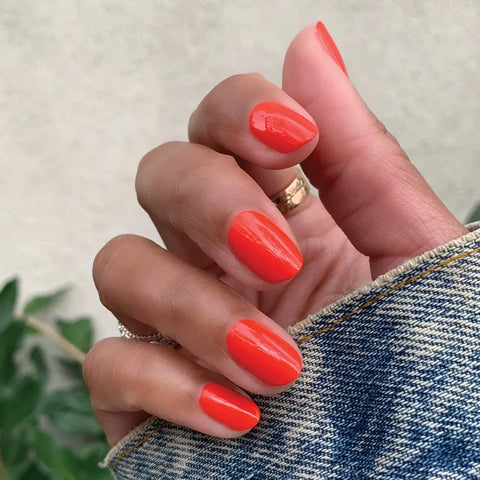 Spring Bestsellers Long Lasting Set