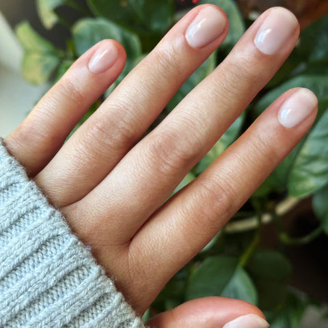Lavender Frost - Builder Gel