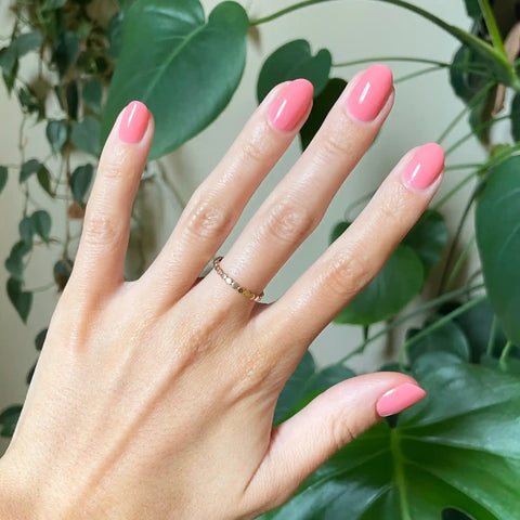 Papaya Gloss