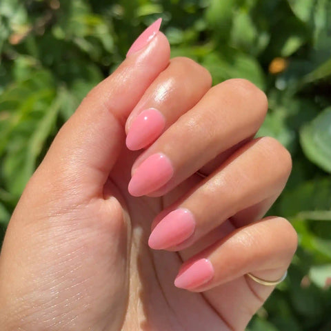 Papaya Gloss