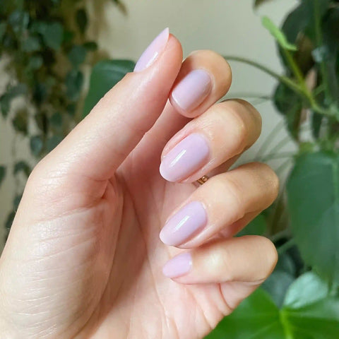 Passionfruit Gloss